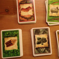 All You Need to Know About Settlers of Catan